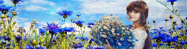 Валерий Палаускас - Полевые цветы