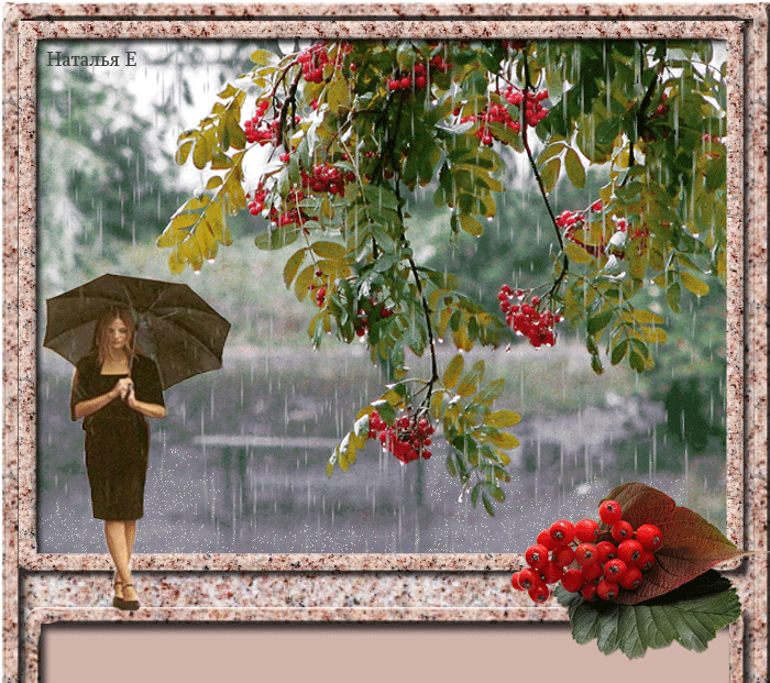 Скоро осень за окнами август. Осеннее дождливое утро в саду. Рябина под дождем. Дождливый день сентября.