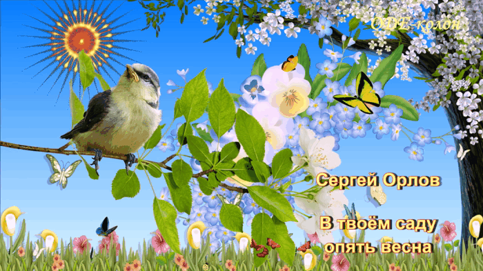 Сергей Орлов - В твоём саду опять весна