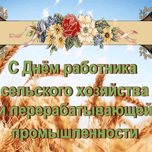 Музыкальные открытки и поздравления Музыкальные открытки и поздравления