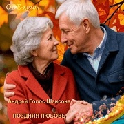 Голос Шансона - Поздняя любовь