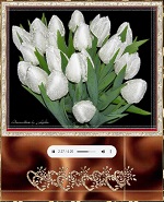 Александр Шапиро - Белые цветы