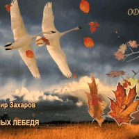 Владимир Захаров - Два белых лебедя